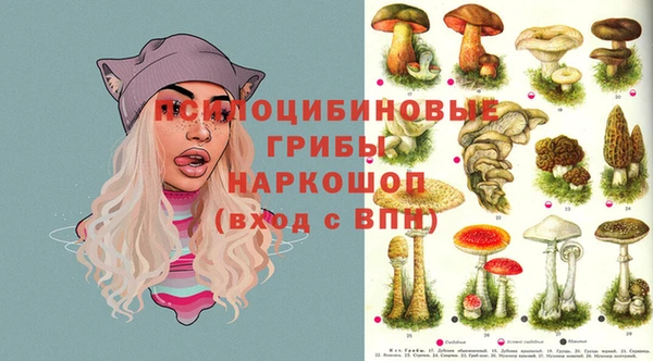 марки lsd Коряжма