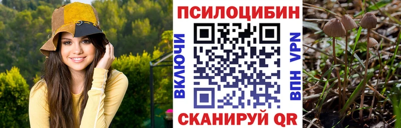 Галлюциногенные грибы мухоморы Кубинка