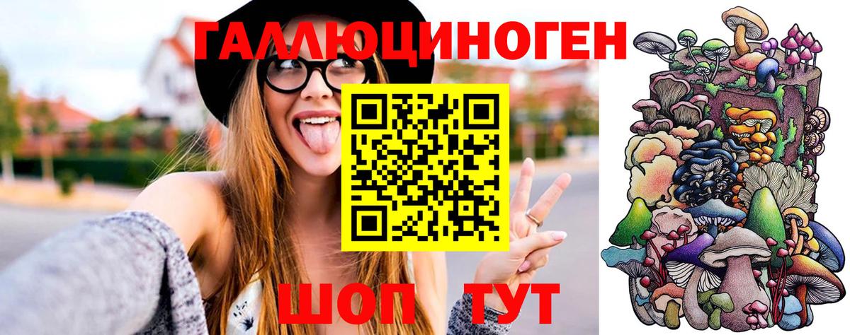 Псилоцибиновые грибы Psilocybe Кубинка